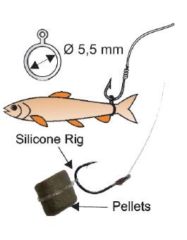 EXTRA CARP BAIT ELASTIC BANDS 5,5MM - 18KS