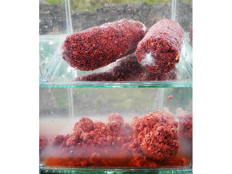 SMĚS DO PVA - 1 KG - REKTOR Meat