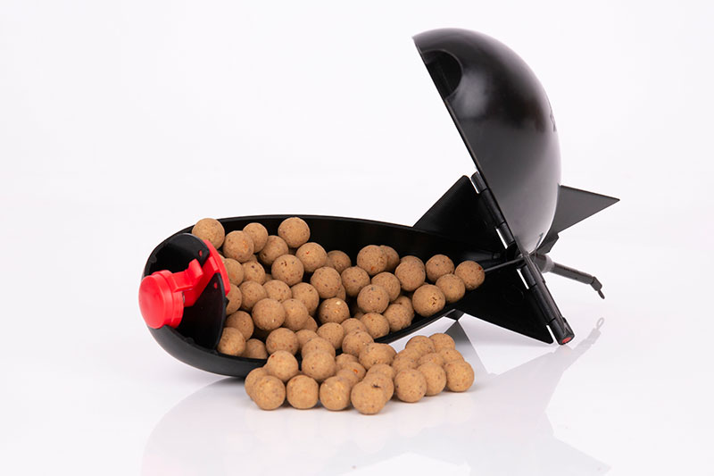 Large Black Spomb
