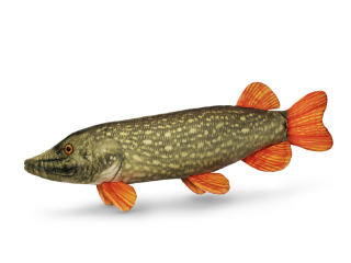 Plyšová štika Delphin PIKY 60 cm